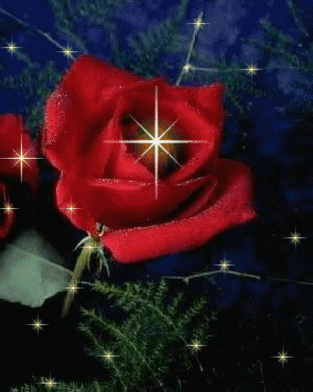 300_375 竖版 竖屏