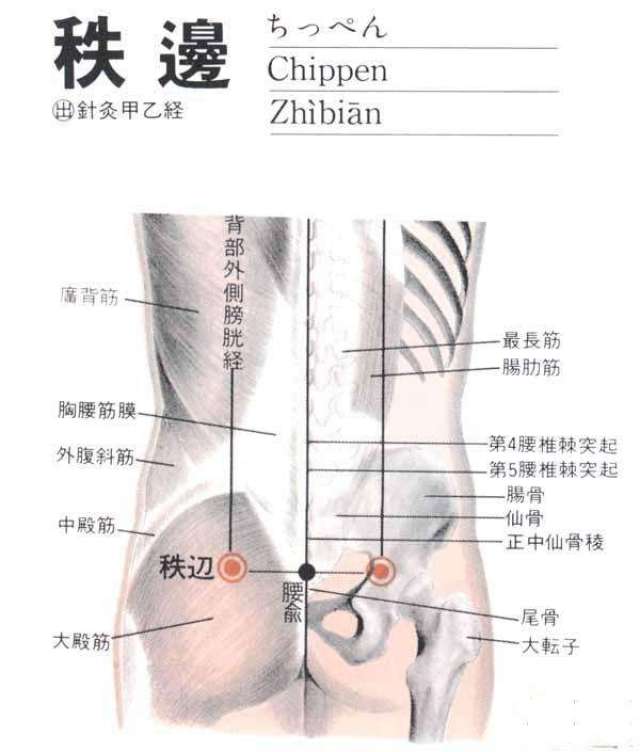 定位:在尾,平第4骶后孔,骶正中嵴趴开3寸.