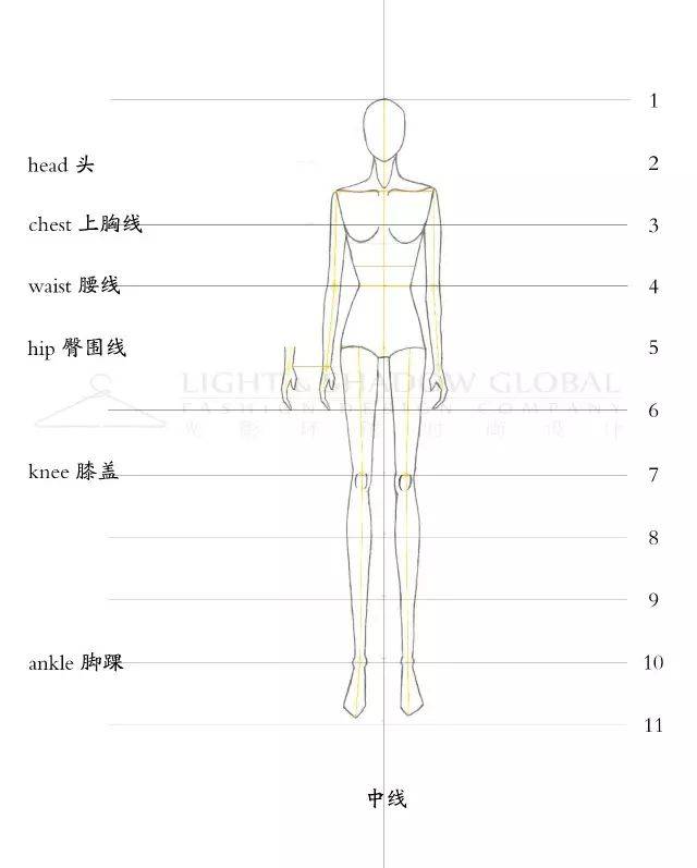 图文演示女性人体的手绘教程