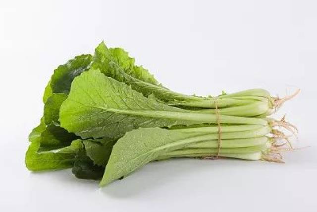 小白菜:与油菜不同哦