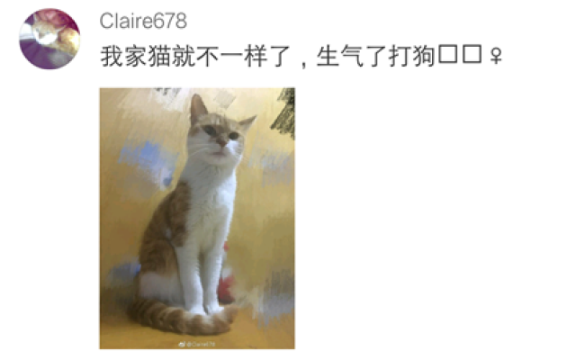 我们一起学猫叫,一起喵喵喵喵