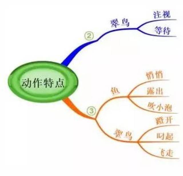 周五公开课丨思维导图魔法作文课,点燃孩子新技能