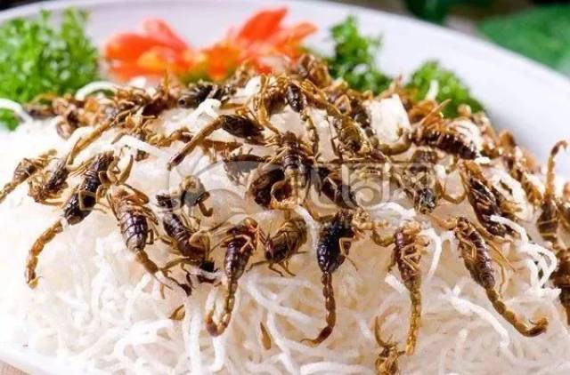 沂蒙全蝎
