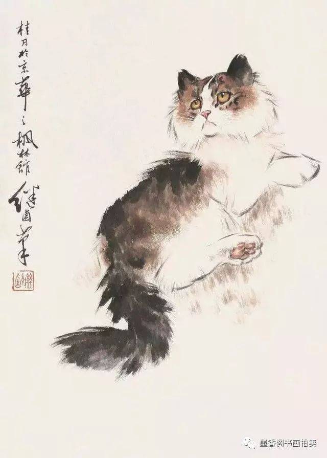 刘继卣《猫》 齐白石画猫 齐白石养猫,也