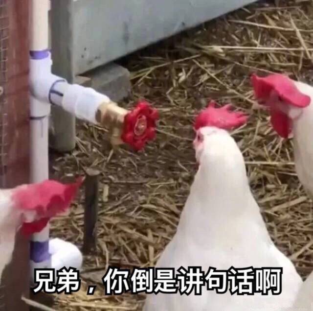 撸蛇,鸡婆,藏镜人…这些奇奇怪怪的台湾译名都是啥意思?