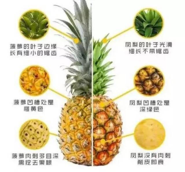 车厘子vs樱桃,菠萝vs凤梨,这些极为相似的食物到底哪不同?