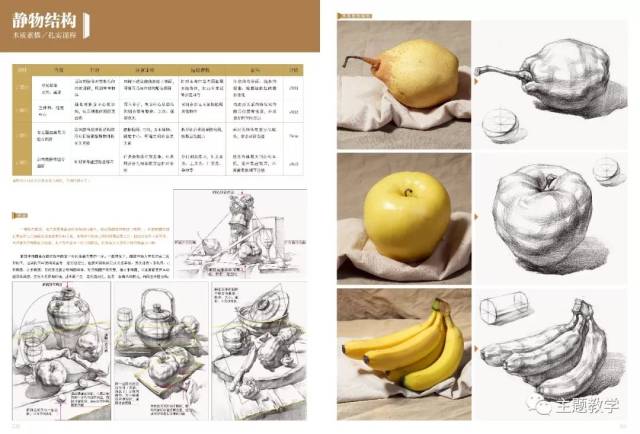 素描教学体系大纲首选 :几何体,素描结构,静物,石膏像