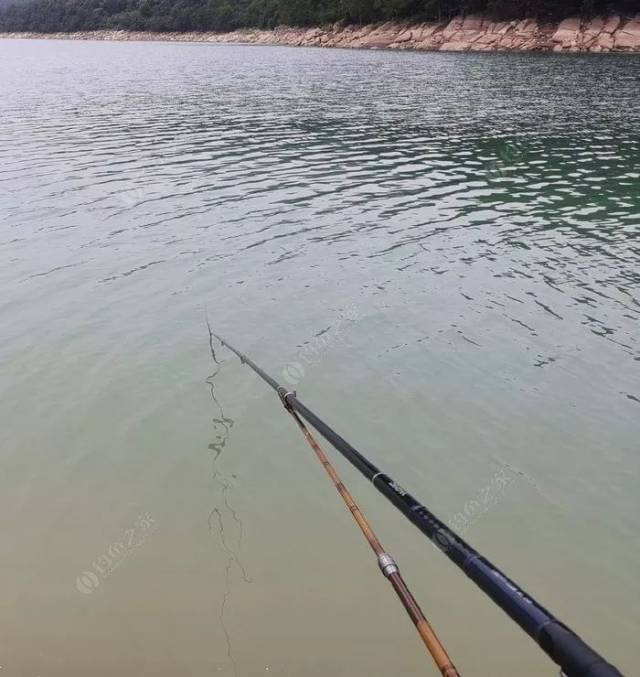 虽然山清水秀,奈何一天到晚汗水没干过,这个天气白天钓鱼,真是要点