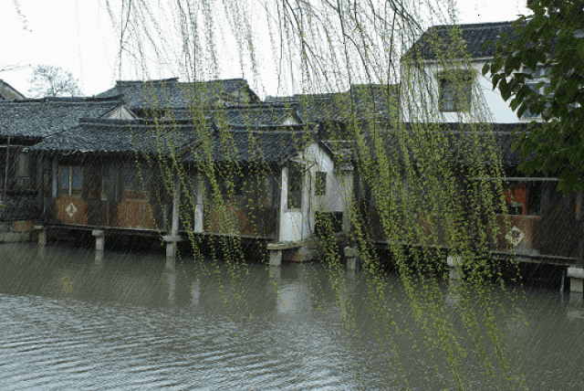 洒洒,感受着这雨带来的凉爽,尤其喜欢夏天的雨,它不似春雨的娇羞温柔