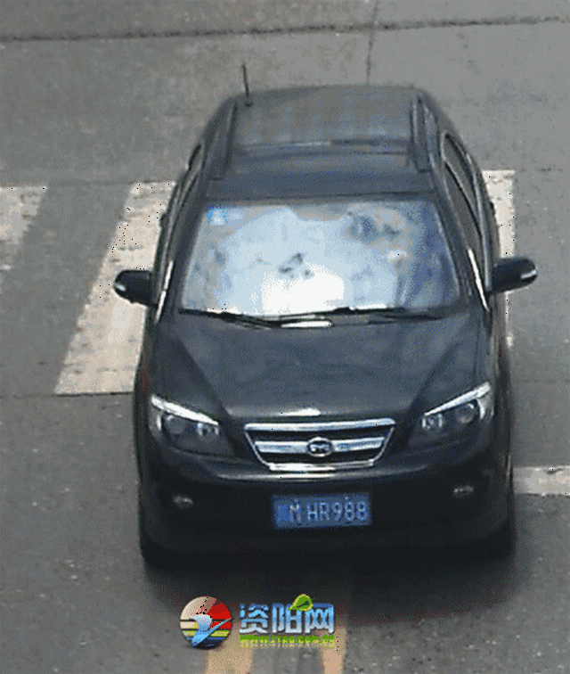 【新一期曝光】无码动图直击30个私家车交通违法行为!