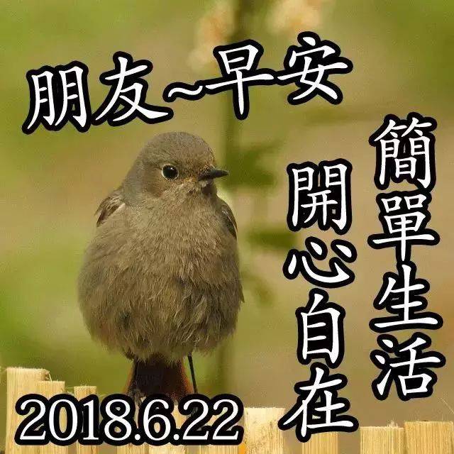 最新漂亮早安问候动态图片带字 最美早上好表情动态图片