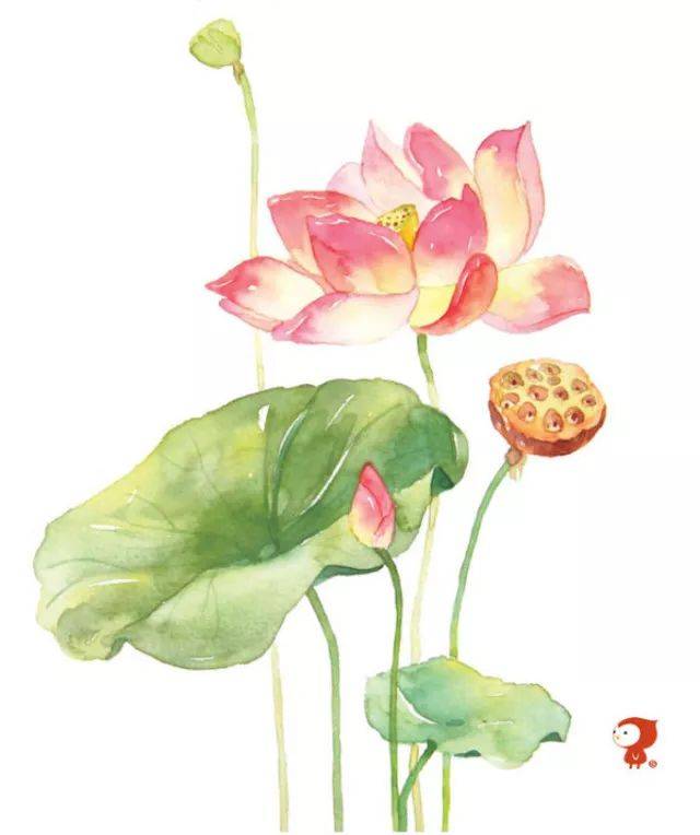 【学前教育宣传月】我是一名幼儿教师——不忘初心