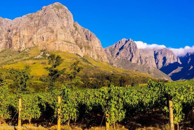 教育学考研 | 赫尔巴特-教育界不得不学习的教育