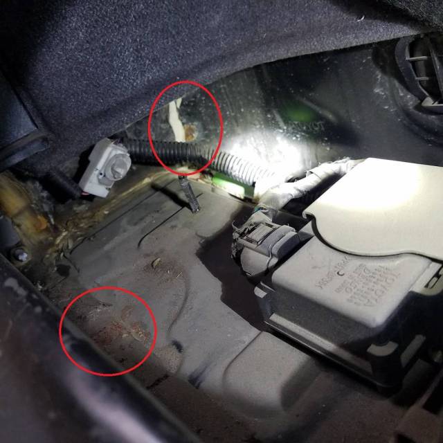 为了便宜想花11万买豪车?04年的雷克萨斯ls可是伤不起