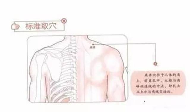 这就是在对人体进行推拿了,这样的推拿,比普通对肩部的按摩和揉捏更加