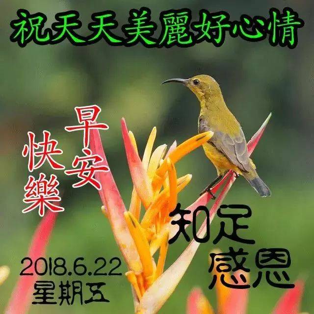Ư簲ʺ̬ͼƬ Ϻñ鶯̬ͼƬ