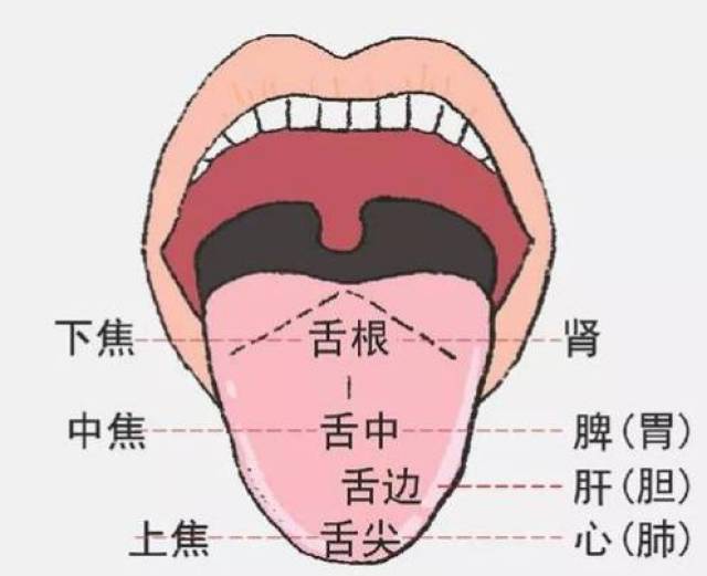 孩子积食反复,造成脾胃虚弱,早发现早调理,看这个部位