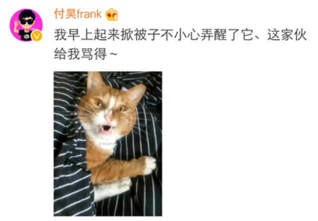 我们一起学猫叫,一起喵喵喵喵