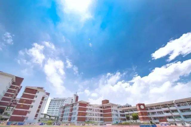 供稿,编辑:厦门一中学生会