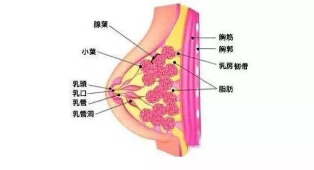 人体这个地方做一次艾灸相当于打一支抗衰针!