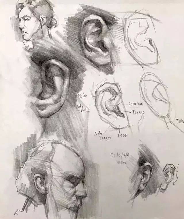 0f7332d716164188974353373e7ca188.jpeg