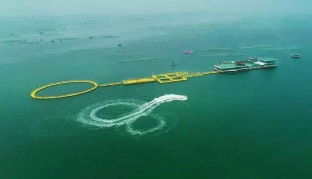 桑沟湾海洋牧场