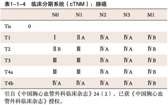 进一步完善,使 tnm分期系统更加准确,以更好指导食管癌