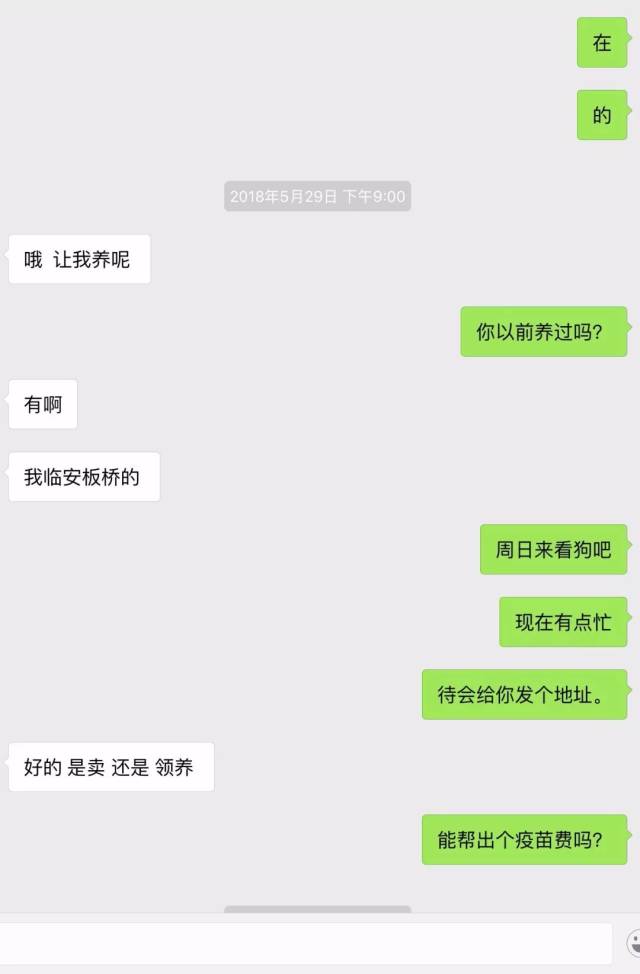 我们先来看看这个送养人和领养人的聊天截图 但是,有的特别急也不