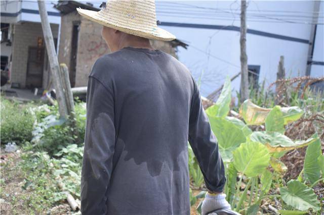 骄阳似火农民工每天挥汗如雨挣二百,舍不得买西瓜喝冰