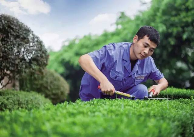 干货：龙湖物业成为全国十强的六大秘密