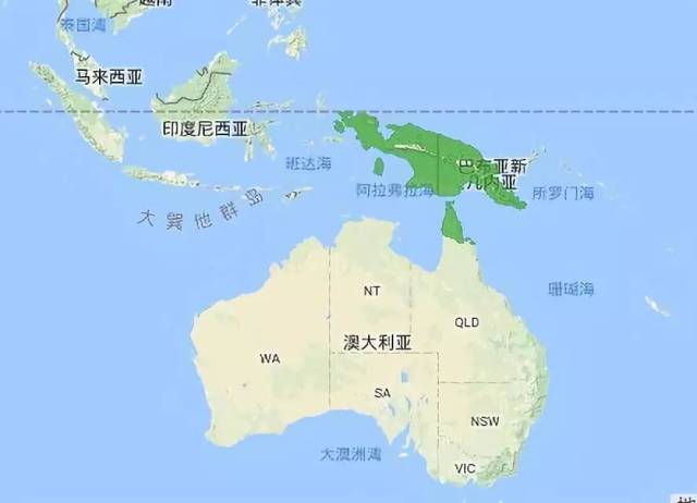 这类棕树凤头鹦鹉主要分布于新几内亚以及澳大利亚北部的热带雨林地区图片