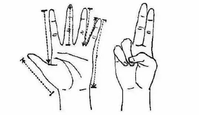 (四)用右手食,中两指相并,推左无名指尺侧,从梢到根,属三焦.