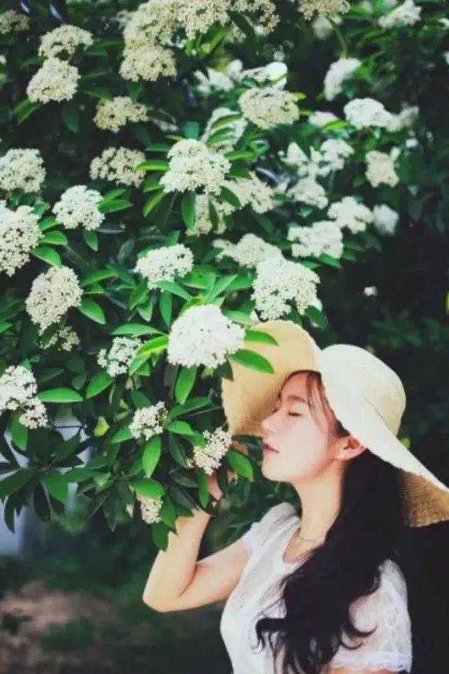 荷花2:0爆冷石楠花,交大杯花赛谁会c位出道?