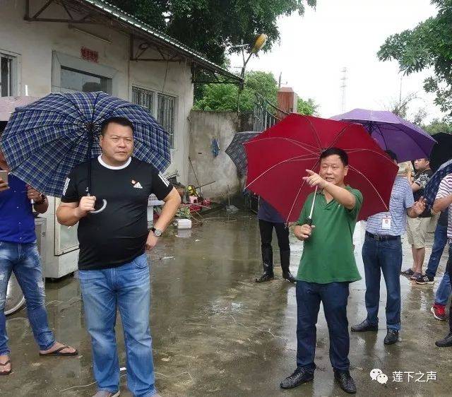 今早大暴雨,莲下这群人冒雨拆除这个村违章搭建!