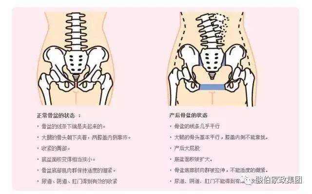 分娩时骨盆的变化