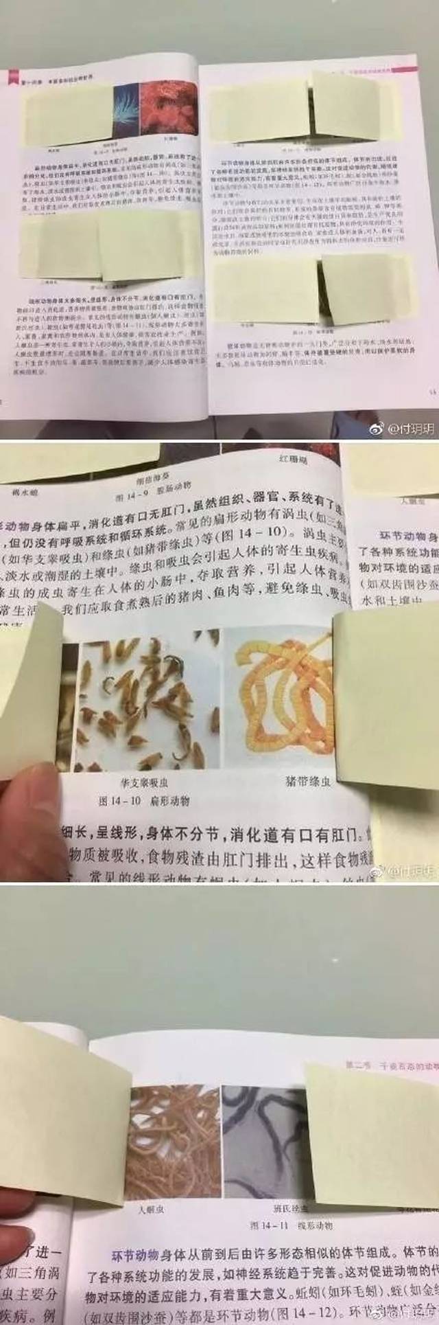 因为害怕生物书上的虫子,所以.