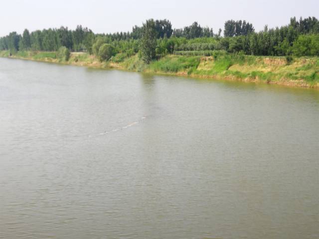 6月23日,黑龙港河的河北沧县段,一条用于捕鱼的"地笼"现身河中,其
