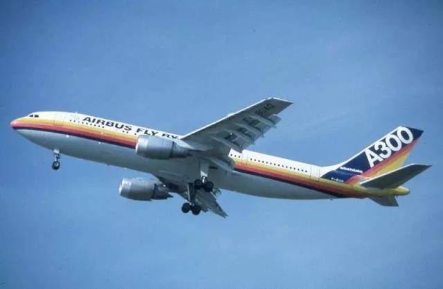 各种航司的“买家秀”