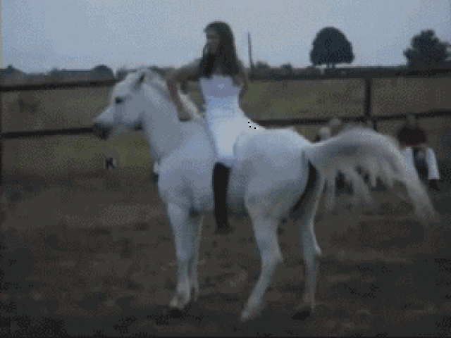 爆笑gif:小姐姐,你骑马的姿势我第一次见-搞笑频道