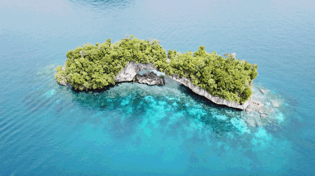 盛夏已至,带你的眼睛去帕劳看海