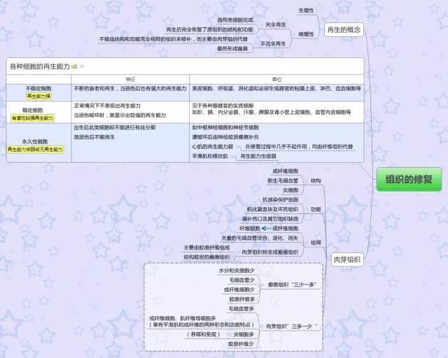 病理学医学思维导图全套完整打印版(免费下载)