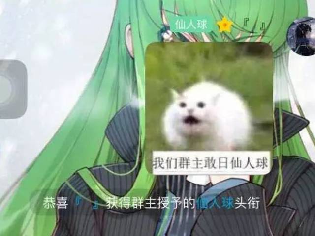 恭喜这位叫仙人球的朋友