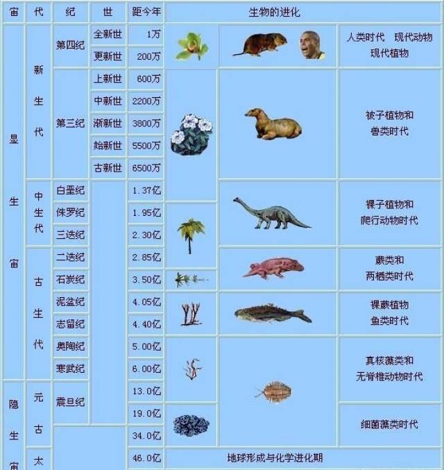 生命进化史,地球已经存在了超过50亿年以上,但生命出现其实在30亿年