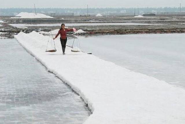 中国最大的盐场,长芦盐场年产119万吨海盐