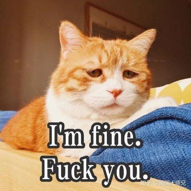 英国大学开设咖喱英语课,竟是为了以后抱印度