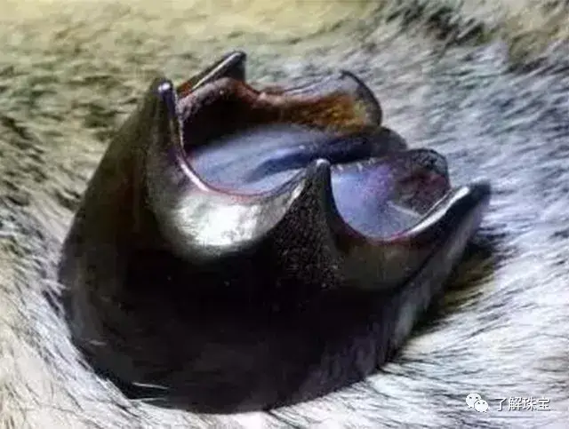 Ȧ