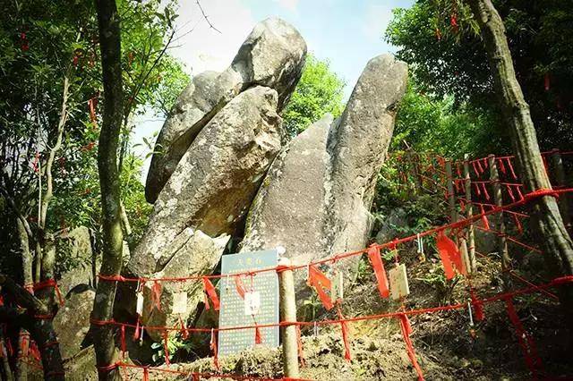 比广州低5~800米高山泳池畅游,品茶香泡茶汤泉$418享清远皇后山3天