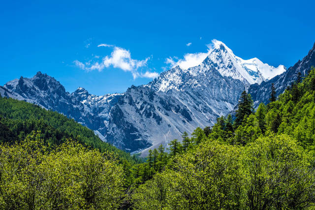 去的稻城亚丁 四姑娘山避暑去