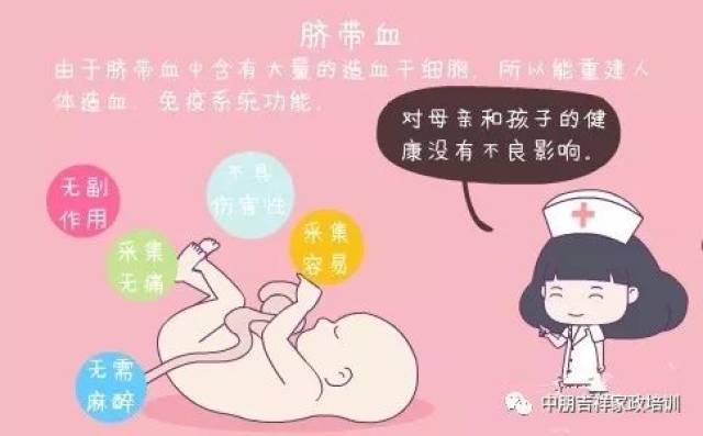 什么是脐带血 ?