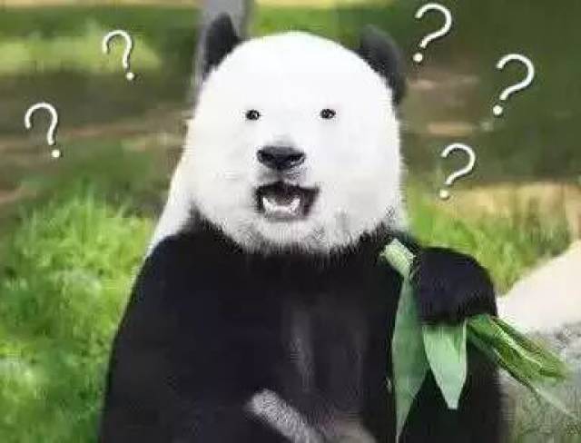 6 个兽医分享的印象深刻的病例,狗子也太能吃了
